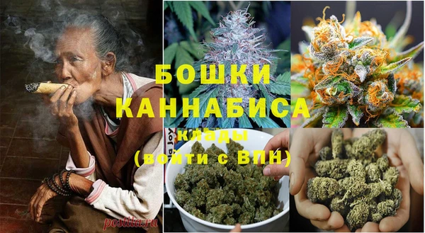 ПСИЛОЦИБИНОВЫЕ ГРИБЫ Навашино