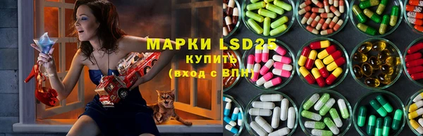ПСИЛОЦИБИНОВЫЕ ГРИБЫ Навашино
